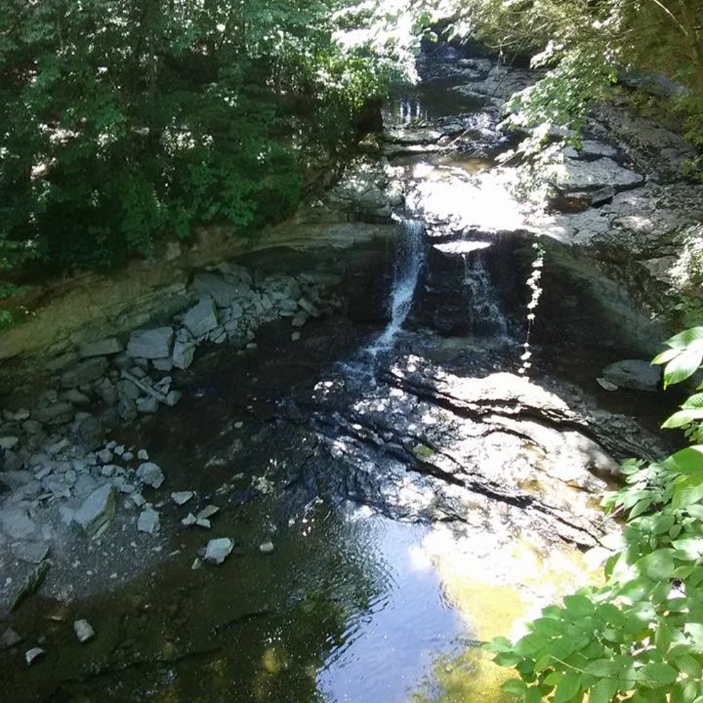 Meet your Posher, Cynthia